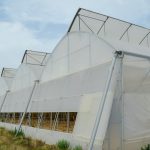 Namioty rolnicze - dostosowanie hal do potrzeb i wymagań gospodarstw