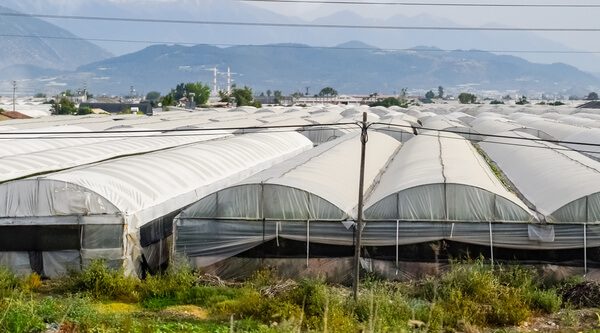 Hala namiotowa do hodowli bydła - rozwiązania dla rolnictwa